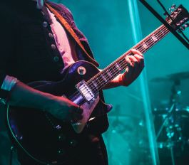 Das Soundchamäleon: die E-Gitarre